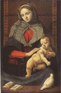 Piero di Cosimo The Virgin and Child with a Dove (mk05) China oil painting art